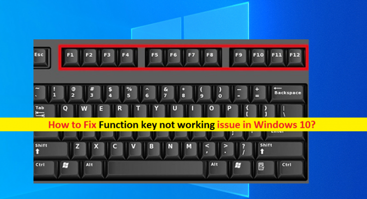 fn key not working on macbook pro windows 10