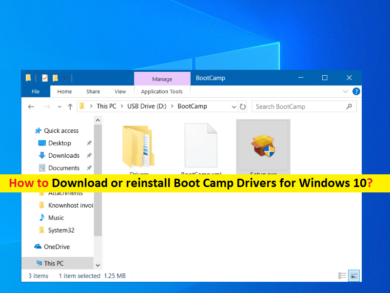 download boot camp support software windows 10