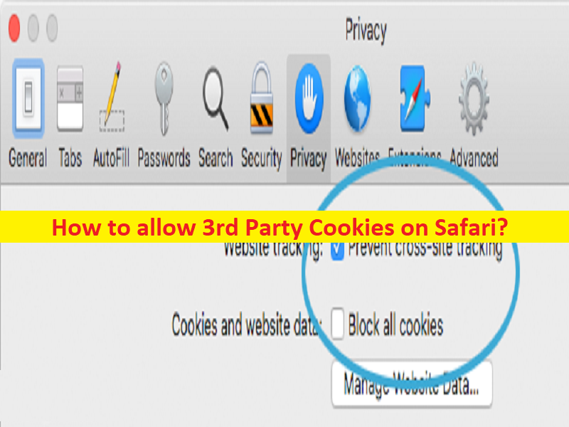 allow 3rd party cookies safari